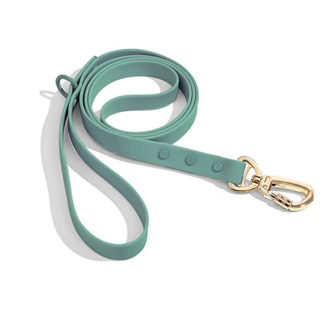 Chicwoof Dog Leash