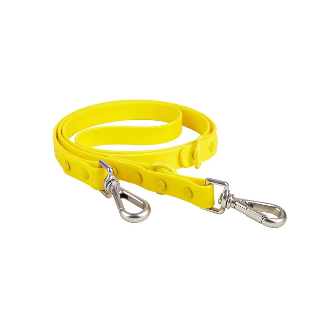 Chicwoof Dog Leash