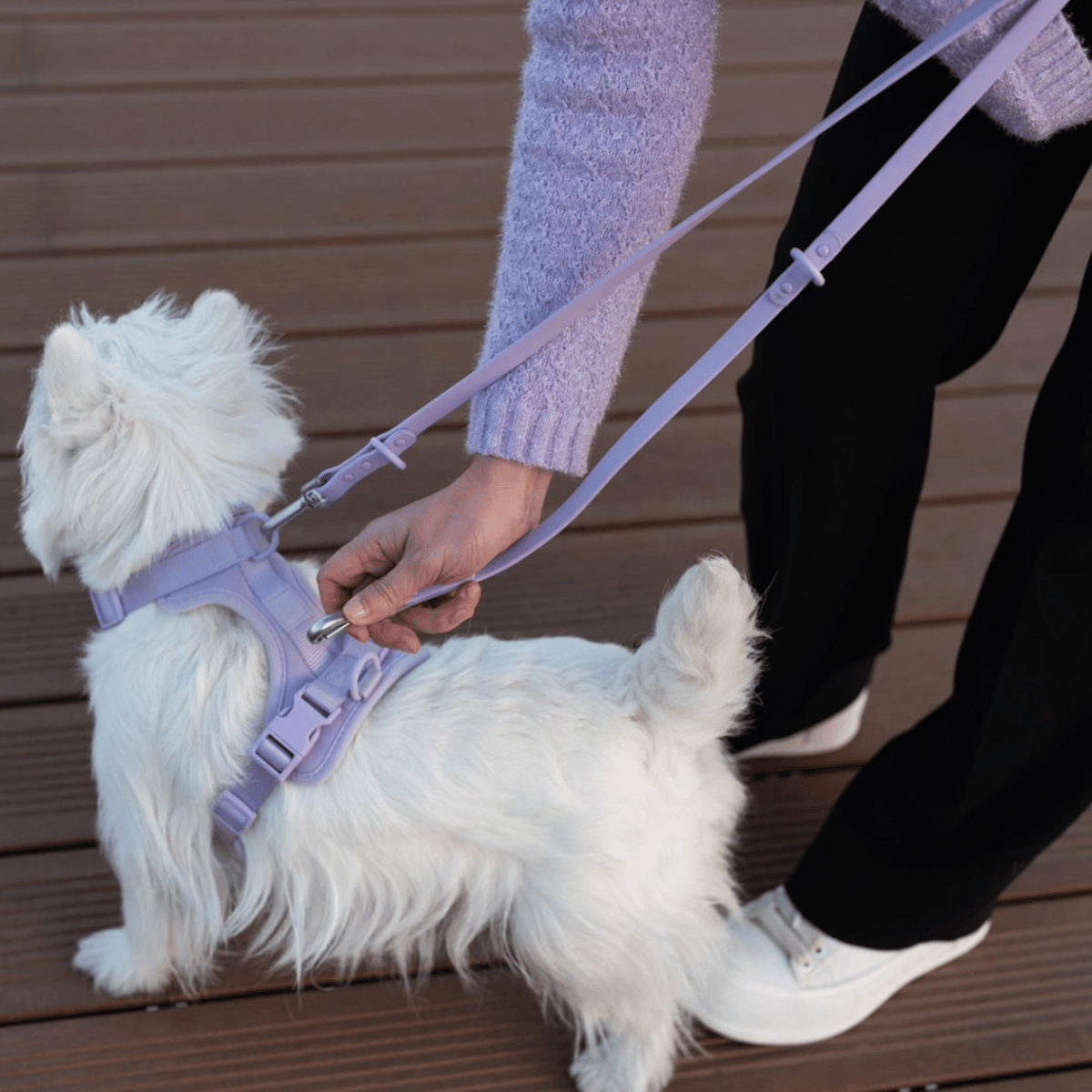 CHICWOOF Macaron Harness  Periwinkle lifestyle photo 01