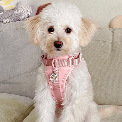 CHICWOOF Macaron Harness Pink lifestyle photo 01