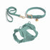 No Pull Dog Harness Walk Kit-Macaron green