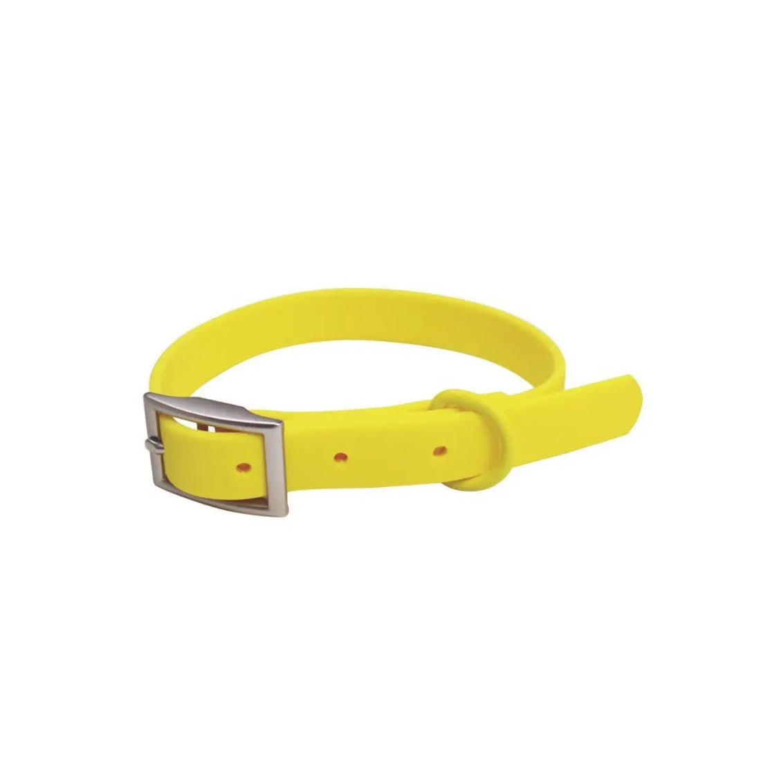 Dog Collar